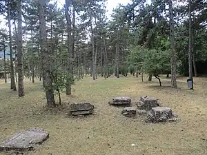 Ruines du camp.