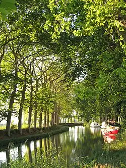 Le canal du Midi.