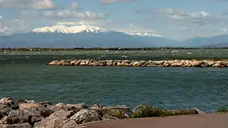 L'étang de Leucate et le mont Canigou