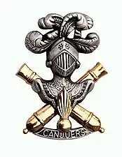 Insigne du camp de Canjuers, l'un des principaux centres d'entraînement de l'arme blindée et cavalerie, héritière de l'artillerie spéciale. Son design rappelle l'insigne de l'«&nbsp;AS&nbsp;» : heaume sur canons croisés.