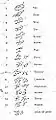 Caractères numériques utilisés par la Princesse Caraboo&nbsp;(en), avec leurs significations.