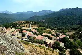 Carbini