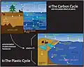 (en) Suivant le cycle de l'eau et le cycle du carbone, le cycle du plastique est un élément essentiel de la plastisphère.