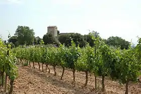 Image illustrative de l’article Conca de Barberà (DO)