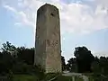 Tour du château de Monsummano Alto.