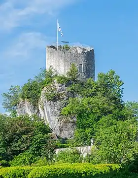 Image illustrative de l’article Château de La Roche-sur-Foron