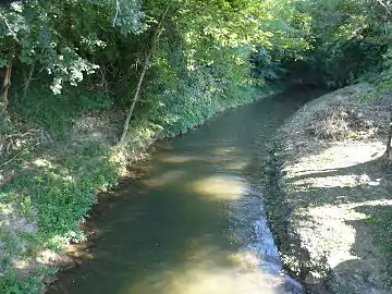 Le bras occidental du Caudeau, quelques mètres avant sa confluence avec la Dordogne.
