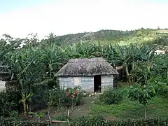 Paysage