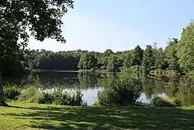 Image illustrative de l’article Étang de Célac