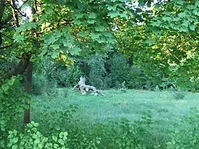 Celejów (Mazovie)