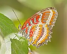 Parc national de Doi Inthanon, Thaïlande