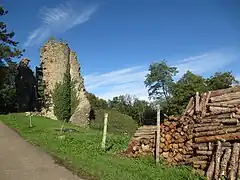 Vestiges du Donjon du château fort de Chateau-Chalon (IXe, XIIIe et XVe&nbsp;siècle)
