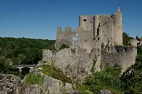 Le château d'Angles-sur-l'Anglin en 2009.