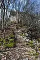 Le donjon vu des fossés