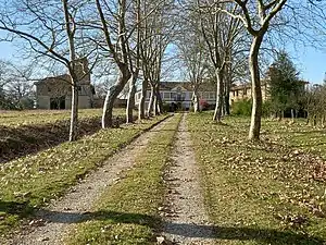 Le château de Salleneuve.