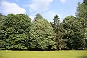 Le parc.