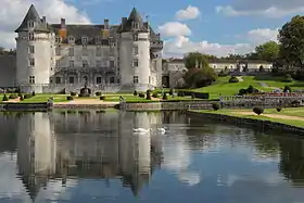 Le château de la Rochecourbon.