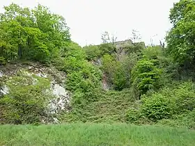 Image illustrative de l’article Château des fées