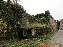 Vestiges du château fort de Saint-Rémy-en-Comté (XIVe&nbsp;siècle)