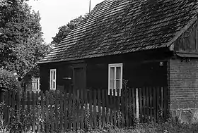 Owczegłowy