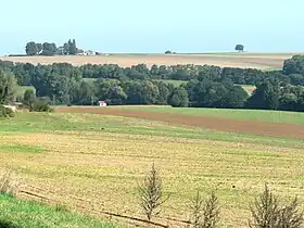 Image illustrative de l’article Multien