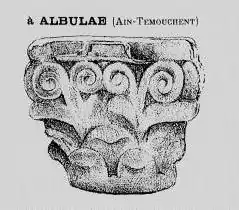 Image illustrative de l’article Albulae