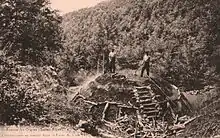 Charbonniers dans la montagne de Lure au début du XXe&nbsp;siècle