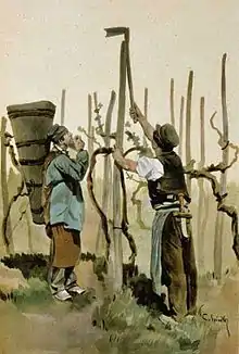 Vignerons (environs d'Obernai).