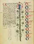 La descendance de Charles VI et d'Isabeau de Bavière. Miniature tirée de Arbor genealogica regum Franciae, XVe&nbsp;siècle.