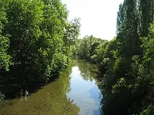 Image illustrative de l’article Arnon