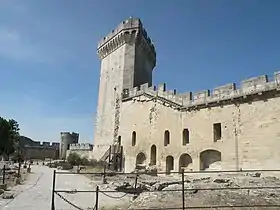 Image illustrative de l’article Château de Beaucaire