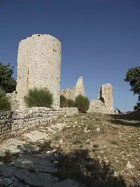 Partie de la ruine du château.