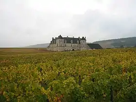 Château du Clos de Vougeot