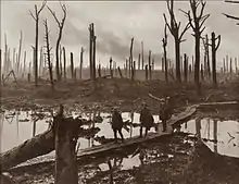 Photographie en noir et blanc d'une forêt qui apparemment a été ravagée par un bombardement.