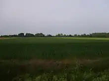 Vue sur une plaine agricole et bocage au fond.