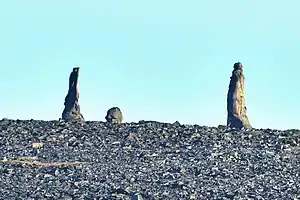 Île Tchemyrekhstolbovoï (des Kigilyakhs)