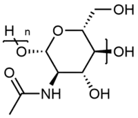Image illustrative de l’article Chitine