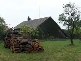 Chvojenec
