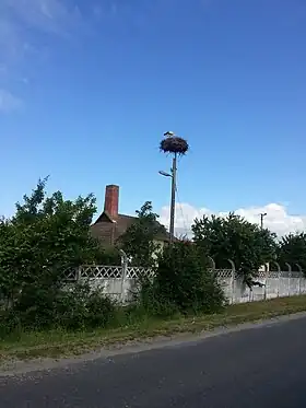 Kamienowola
