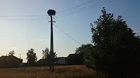 Sadłowo (Mazovie)