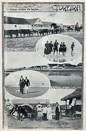 Cidreira