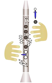 dessin : position des doigts sur l'instrument