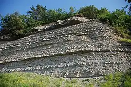 Falaise de flysch vers la baie de Fiesa en Slovénie