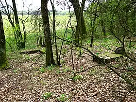 Myszaki