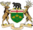 Andrea Horwath