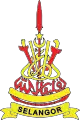 Hisamuddin Alam Shah