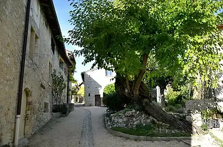 Place du village.
