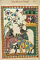 Dans le Codex Manesse, Frédéric II de Linange (début XIVe siècle)