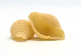 Image illustrative de l’article Conchiglie