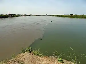 Point de confluence (vu vers l'aval) entre le Nil Blanc (venant de gauche) et le Nil Bleu (venant de droite) formant le Nil (vers le haut) : la différence de teinte des eaux justifie bien leurs deux hydronymes.